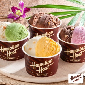 ハワイアンホースト マカダミアナッツアイス AH-HS 送料無料 翌日配送 アイス ギフト アイスクリーム 洋菓子  