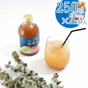 和歌山フルーツコーラ 桃 250mL×2本 ソフトドリンク モモ もも スパイス 送料無料 【お届け不可地域：北海道・沖縄・離島】