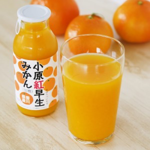 送料無料 小原紅早生みかんジュース　10本セット / 希少糖 飲み物 ソフトドリンク 香川県 お取り寄せ 通販 お土産 お祝い プレゼント ギ