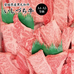 愛媛県産いしづち牛 厳選！ 雌 黒毛和牛 肩ロース 焼肉セット 約550g A4-A5等級 / 黒毛和牛 ブランド牛 和牛 国産 お取り寄せ グルメ お