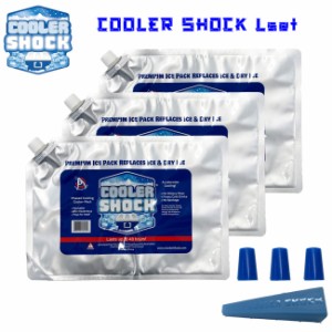 保冷剤 3個セット COOLER SHOCK クーラーショック Lサイズ キャンプ アウトドア クーラーボックス ラン