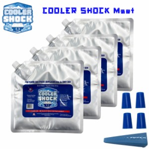 保冷剤 4個セット COOLER SHOCK クーラーショック Mサイズ キャンプ アウトドア クーラーボックス ラン