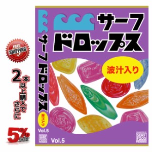 サーフィン DVD サーフドロップス Vol.5 サーフフードの新シリーズ SURF DVD