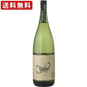 送料無料　黒さそり　黒麹　麦焼酎　常圧蒸留　25度　1800ml　（北海道・沖縄＋890円）