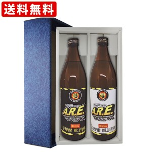 焼酎 飲み比べ 送料無料 ギフト箱付 阪神タイガース公認 2024年限定ボトル 2本セット 獣王無敵 闘志溌刺 900ml×2本セット