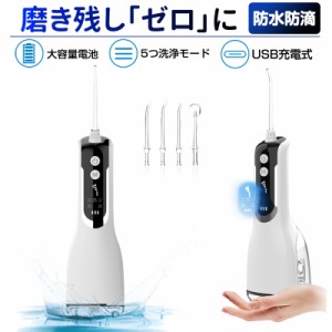 口腔洗浄器 ジェットウォッシャー IPX7防水 水流洗浄 強弱切り替え 舌磨き 330ml 噴射 歯石 日本語取扱説明書付 ギフト