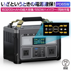 ポータブル電源 大 1048Wh 327600mAh 超大容量 液晶大画面581 www