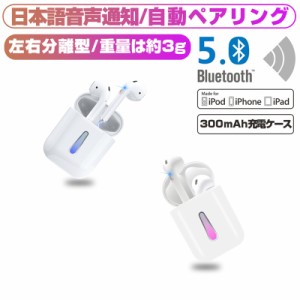 ワイヤレスイヤホン Bluetooth 5.0 ノイズリダクション 日本語音声ガイダンス Hi-Fi 高音質 TWS 充電式収納ケース付き 完全ワイヤレス