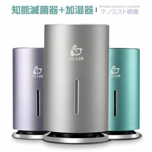 自動 消毒液 噴霧器の通販｜au PAY マーケット