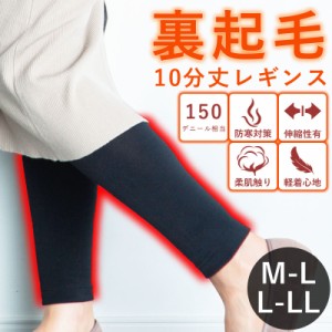 【M-L-LLサイズ】裏起毛レギンス 裏起毛タイツ 裏起毛パンツ レギパン ヒートタイツ 裏起毛 レギンス タイツ トレンカ レディース 暖かい