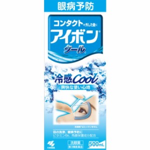 【第3類医薬品】小林製薬アイボン クール 500ml 【2個セット】