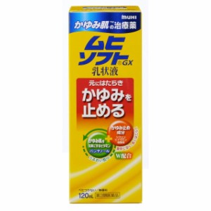 【第3類医薬品】かゆみ肌の治療薬 ムヒソフトGX乳状液 120ml 【2個セット】 【セルフメディケーション税制対象】