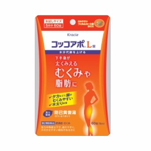 【第2類医薬品】コッコアポL錠 60錠