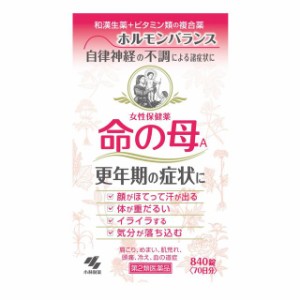 【第2類医薬品】小林製薬命の母A 840錠