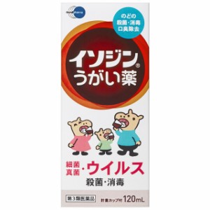 【第3類医薬品】イソジンうがい薬 120ml