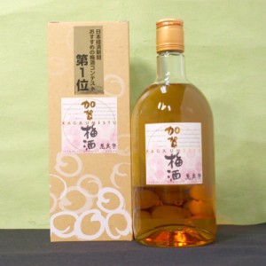  1ケース単位  北海道 沖縄 離島除く ヤマト運輸  加賀梅酒 かがうめしゅ  720ml瓶×12本