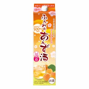 ギフト プレゼント 家飲み 家呑み リキュール ふんわりあんず酒 2Lパック 1ケース6本入り 合同酒精