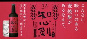 ギフト プレゼント クリスマス 父の日 家飲み 本格麦焼酎 25°知心剣 720ml瓶 6本 藤居酒造 販売者 宝酒造 送料無料