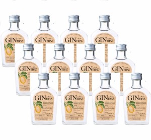 ギフト プレゼント クリスマス 父の日 家飲み クラフトジン 44度 銀鼠 GIN nez ギンネズ 44％ 200ml 12本 櫻の郷酒造