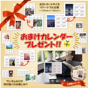 【おまけCL付】新品 LOVE CLA(ロゴ表記)SSICS / 浜崎あゆみ (1CD)AVCD-93059-SK