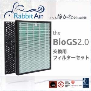 Rabbit Air BioGS 2.0 専用交換フィルター セット（ 空気清浄機 備品 ） グッドデザイン賞 レッドドット賞 おしゃれ 静音 操作性 静か 寝