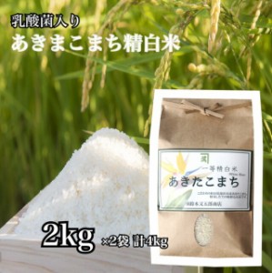 あきたこまち 一等米 白米 2kg 精米 お米 ごはん 国産米 秋田 アキタコマチ 健康 プレゼント ギフト 贈り物 農家直送