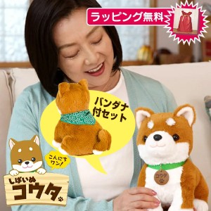 こんにちワン！しばいぬコウタ バンダナ付セット 電池付き 犬 イヌ ぬいぐるみ 音声認識 会話 柴犬 歌う 電子ペット お話 可愛い 