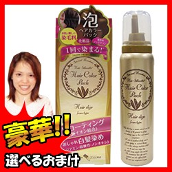 ヘアーシルエット 泡ヘアカラートリートメントパック 80g 手袋+コーム付 特典【送料無料+選ぶ景品+ポイント】 ナチュラルブ