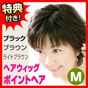 ポイントヘア Mサイズ ヘアウィッグ 部分かつら ポイントウィッグ ヘアピース ヘアーピース 女性用カツラ 部分カツラ 毛染め