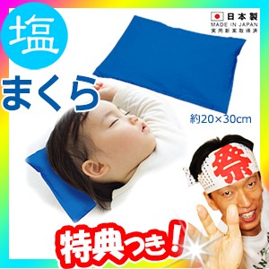 塩まくら 20×30cm 眠りを誘うブルーのカバー 塩マクラ 塩枕 しおまくら 頭寒足熱