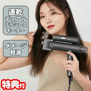 Blaster Pro ドライヤー ブラスタープロ 専用ポーチ付き デュアルモータードライヤー ブラシレスDCモーター ヘアドライヤー 速乾 強風 ヘ