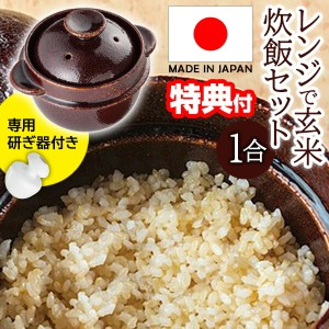 日本製 レンジで玄米炊飯セット １合炊 玄米炊飯器 レンジ専用 電子レンジ 炊飯器 ご飯釜 WA-951 浸水なし レンジで玄米 レシピ付き 専用