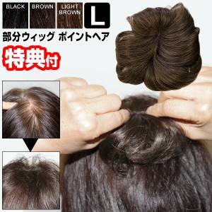 ポイントヘア Lサイズ 部分ウィッグ 分け目 薄毛 白髪隠し ヘアウィッグ 部分かつら ポイントウィッグ ヘアピース ヘアーピース メンズ 