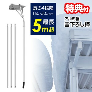 アルミ製 雪下ろし棒 VS-GS03 屋根 雪下ろし 棒 ひさし雪下ろし 5m ロング 屋根雪下ろし 雪落とし カーポート 駐車場 雪下し 車 雪落とし