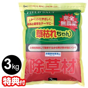 日本製 完全無農薬 除草剤 草枯れちゃん 3kg 無農薬除草材 くさかれちゃん 3キロ 非農耕地専用 除草材 無農薬 墓 遊歩道 石畳 路地 目地 