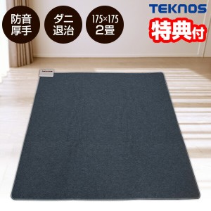 TEKNOS テクノス 日本製 防音厚手ホットカーペット TWB-2500J 175×175cm 2畳用 ホットカーペット 本体 防音 厚手 正方形 ホットマット 2