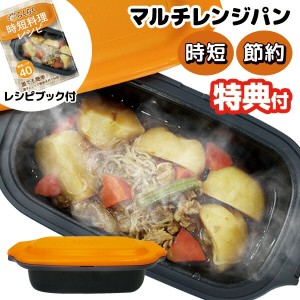 【選ぶ景品】 マルチレンジパン 電子レンジ専用調理器 レシピブック付き レンジで焼き魚 チンするだけ 簡単 マルチパン