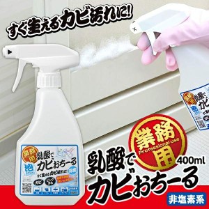 業務用 乳酸でカビおちーる 400ml 非塩素系 泡スプレー 日本製 カビ汚れ 水まわり お掃除 浴室 トイレ 洗面台 キッチン 乳酸でカビおちる