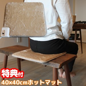 テクノス 椅子マット ミニマットマイヤー 40×40cm EC-K4001 ホットマット ホットカーペット イス 温熱マット 電気マット 電気カーペット