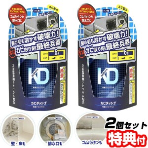 カビダッシュ 特濃ストロングジェル  500ml 2個セット ハケ付き カビ取り お風呂掃除 水周りのカビ カビ取り剤 カビ取りジェル 洗剤 カビ