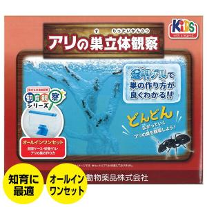アリの巣立体観察セット ニチドウ 飼育観察セット 蟻の巣 自由研究に最適 知育 生き物 飼育  アリ観察セット TVで話題 アリ飼育キット あ