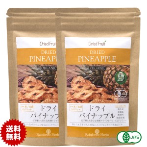 有機 ドライパイナップル無添加 砂糖不使用 65g 2袋 タイ産 JASオーガニック　パイナップル 無漂白 無保存剤 食物繊維 ミネラル