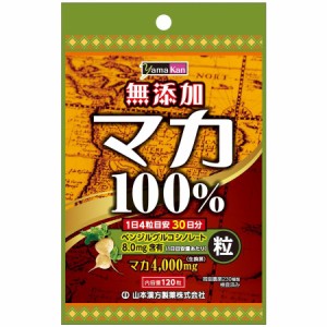 マカ粒100％ 120粒【山本漢方製薬】【メール便4個まで】