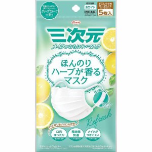 三次元マスク ほんのりハーブが香るマスク グレープフルーツの香り 5枚入【興和】【メール便４個まで】