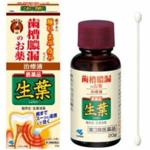 【第3類医薬品】生葉液薬 20g【小林製薬】