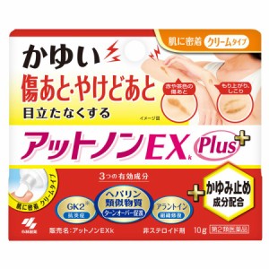 【第2類医薬品】アットノンEX かゆみ止めプラス 10g【小林製薬】【メール便対応】