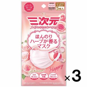 三次元マスク ほんのりハーブが香るマスク ローズの香り 5枚入×３個【興和】【メール便送料無料】