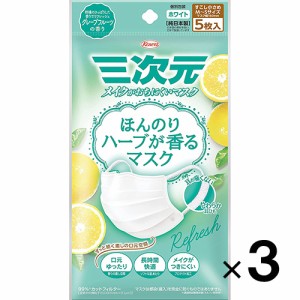 三次元マスク ほんのりハーブが香るマスク グレープフルーツの香り 5枚入×３個【興和】【メール便送料無料】