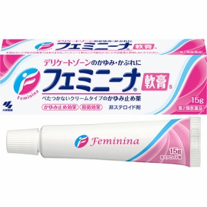 【第2類医薬品】フェミニーナ軟膏S 15g【小林製薬】【セルフメディケーション税制対象】【メール便対応】