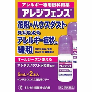 【第2類医薬品】アレジフェンス 5mLx2本【わかもと製薬】【セルフメディケーション税制対象】【メール便対応】